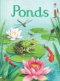 Ponds - Preview