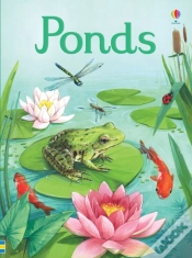 Capa do artigo Ponds