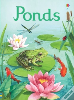 Capa do artigo Ponds