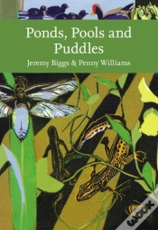 Capa do artigo Ponds, Pools And Puddles
