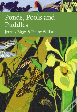 Capa do artigo Ponds, Pools And Puddles