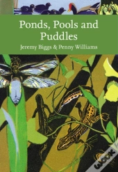 Ponds, Pools And Puddles