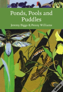 Capa do artigo Ponds, Pools And Puddles