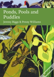Capa do artigo Ponds, Pools And Puddles