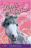 Pónei Mágico - Um Desejo Especial