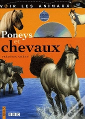 Poneys Et Chevaux