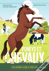 Poneys Et Chevaux