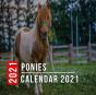 Ponies Calendar 2021 - Preview