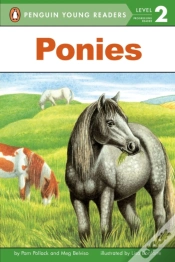 Capa do artigo Ponies