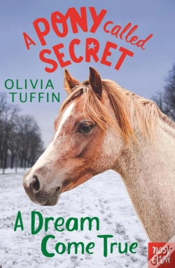 Capa do artigo Pony Called Secret: A Dream Come True