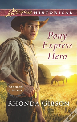 Capa do artigo Pony Express Hero