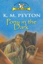 Pony In The Dark - Preview