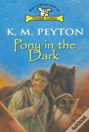 Capa do artigo Pony In The Dark