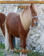 Pony - Preview