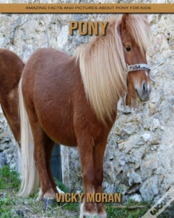 Capa do artigo Pony