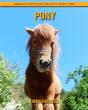 Pony - Preview