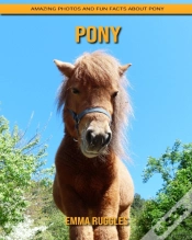 Capa do artigo Pony