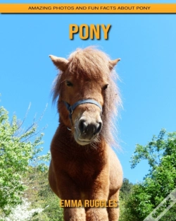Capa do artigo Pony