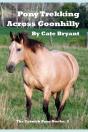 Pony Trekking Across Goonhilly - Preview