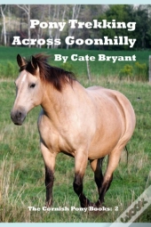 Pony Trekking Across Goonhilly