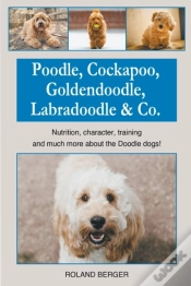 Capa do artigo Poodle, Cockapoo, Goldendoodle, Labradoodle & Co.