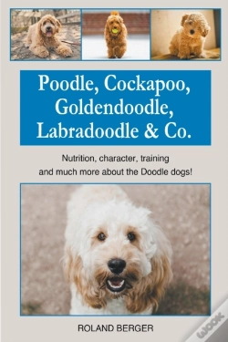 Capa do artigo Poodle, Cockapoo, Goldendoodle, Labradoodle & Co.