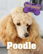 Poodle - Preview
