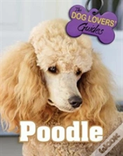 Capa do artigo Poodle