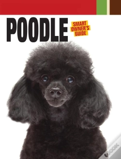 Capa do artigo Poodle