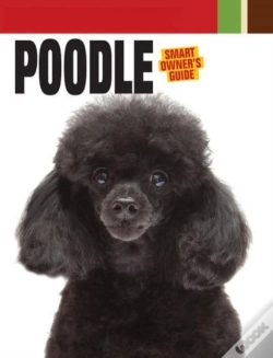 Capa do artigo Poodle