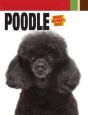 Poodle - Preview