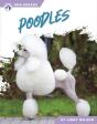 Poodles - Preview