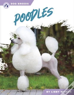 Capa do artigo Poodles