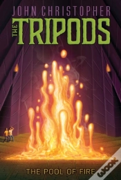Capa do artigo Pool Of Fire