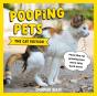 Pooping Pets: The Cat Edition - Preview