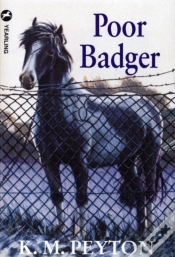 Capa do artigo Poor Badger