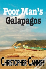 Capa do artigo Poor Man