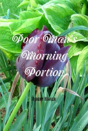 Poor Man'S Morning Portion - Preview