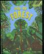 Pop-Up Forest - Preview