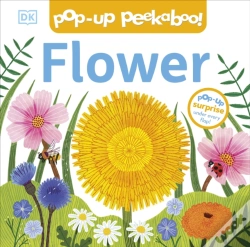 Capa do artigo Pop-Up Peekaboo! Flower