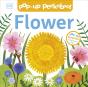 Pop-Up Peekaboo! Flower - Preview