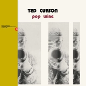 Capa do artigo Pop Wine - Vinil