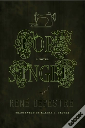 Capa do artigo Popa Singer