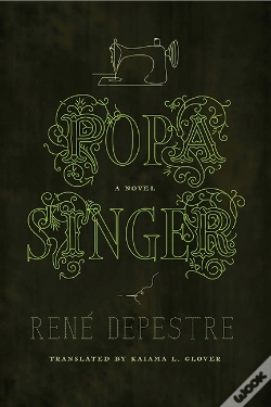 Capa do artigo Popa Singer