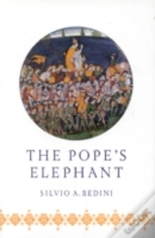Pope'S Elephant