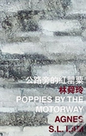 Capa do artigo Poppies By The Motorway