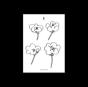 Poppies - Vinil - Preview