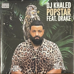 Capa do artigo Popstar - Vinil