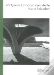 Capa do artigo Por que os Edifícios Ficam de Pé