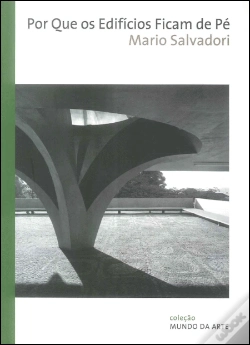 Capa do artigo Por que os Edifícios Ficam de Pé